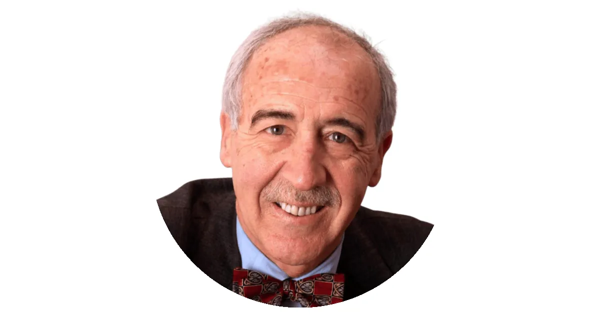 La victoria del ladrillo