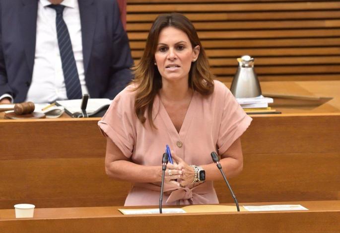 PP pide la comparecencia de Tamarit en Les Corts para explicar el retraso en la publicación del currículum de primaria