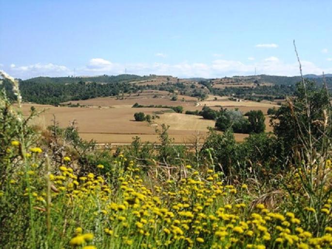 Sequía.- Agro.- UdP pide a la Generalitat ayudas para productores afectados por la sequía y las heladas