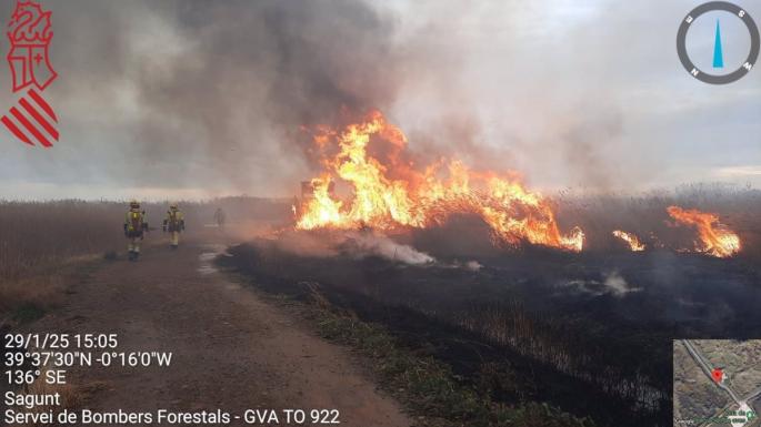 Valencia.-Sucesos.- Controlado el incendio forestal en la Marjal dels Moros de Sagunt