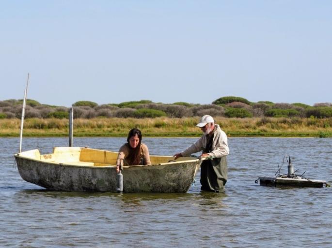 Huelva.- Doñana en 2024 fue "seca y calurosa" y registra "un nuevo mínimo histórico" en poblaciones de aves acuáticas