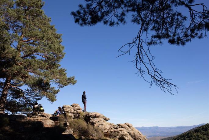 Abedular de Canencia, una rareza botánica de la Sierra Norte de Madrid