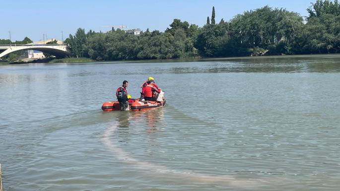 Zaragoza.- La presencia de la mosca negra es menor, este año, por las abundantes lluvias y el trabajo peventivo
