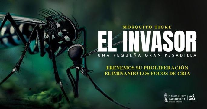 Sanidad aconseja evitar acúmulos de agua en recipientes para impedir la proliferación del mosquito tigre en la Comunitat