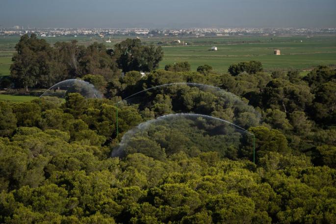 Valencia.- València 'defiende' la Devesa del Saler del riesgo extremo de incendios con ocho cañones de agua