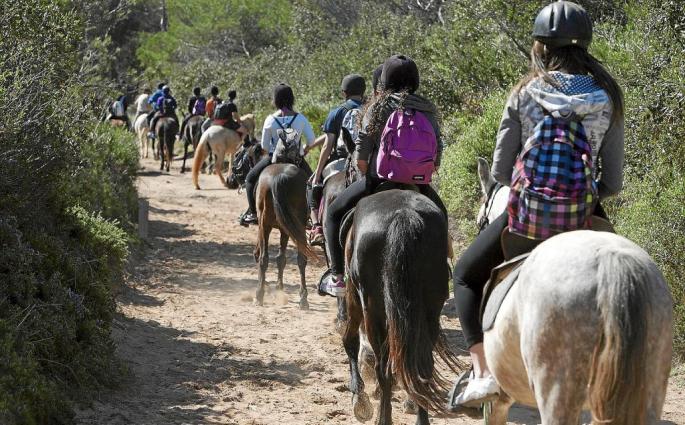 Las rutas combinan el disfrute del caballo en un entorno natural excepcional con otras experiencias culturales o gastronómicas.