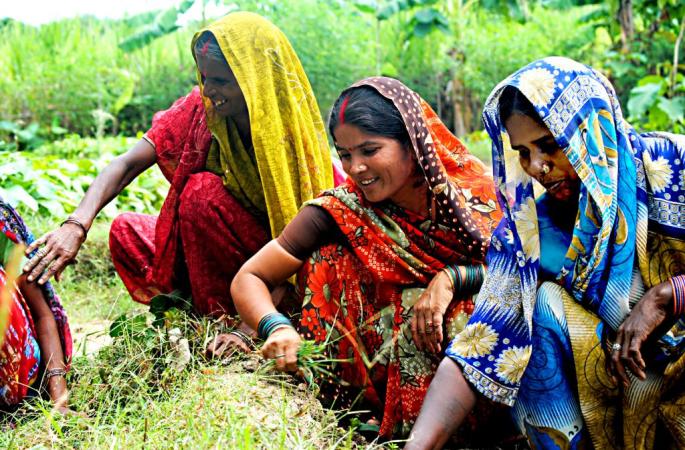 Mujeres indias