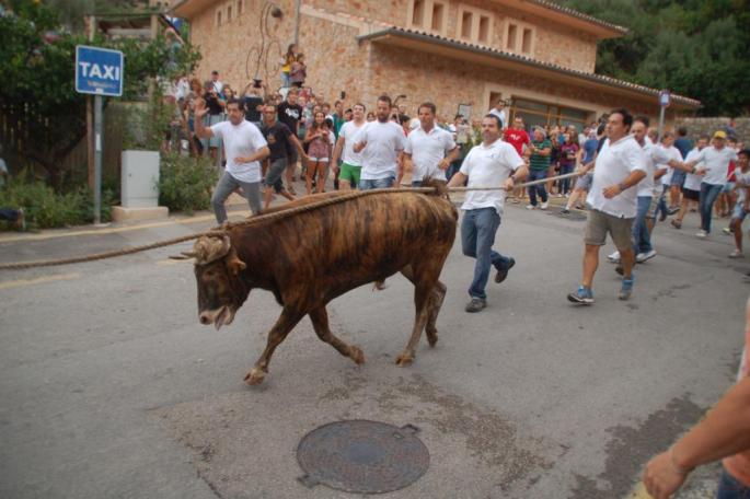 Correbou