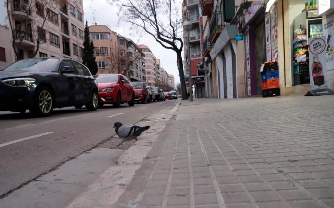 «Es necesario que una persona autista pueda salir a la calle»