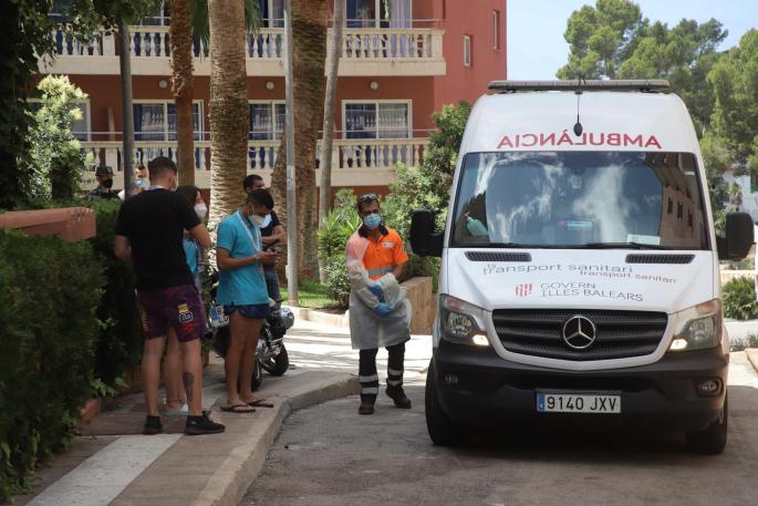 Macrobrote en Mallorca
