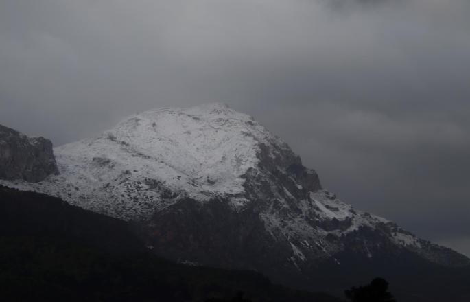 Estos días hace mucho fríos, e incluso, está nevando en la Serra