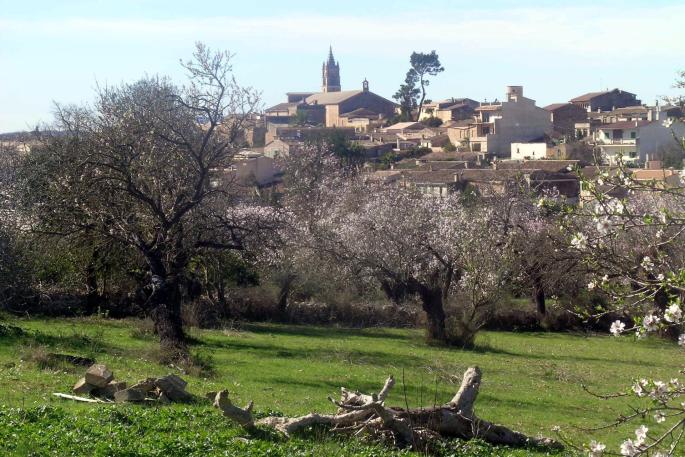 Suelo rústico en Mallorca.