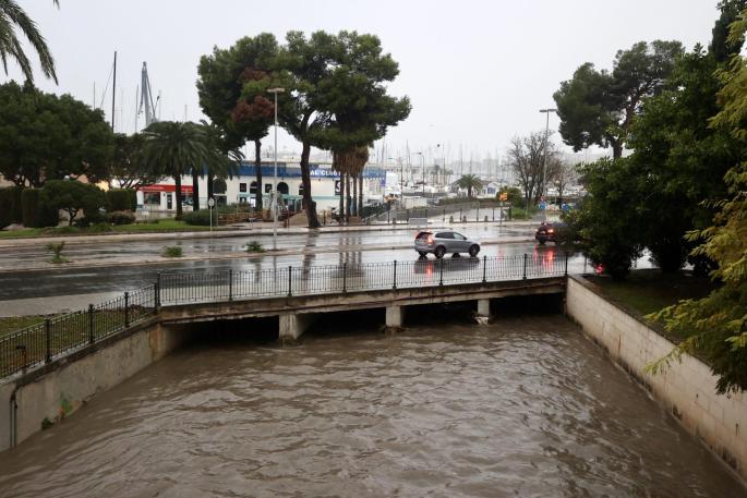 Torrente