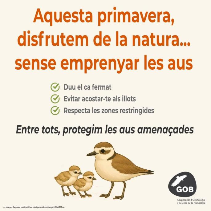Campaña 'Aquesta primavera, disfrutem de la natura sense emprenyar les aus'