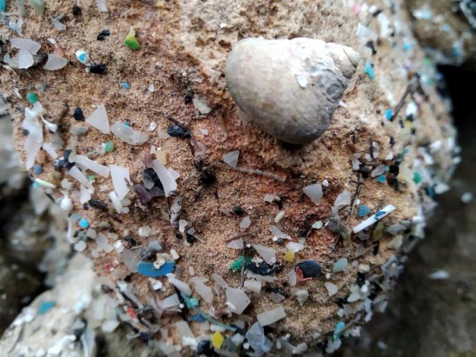 Microplásticos en la zona protegida de Es Trenc.