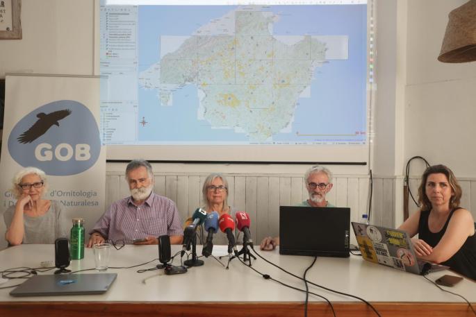 Planificación territorial de los parques fotovoltaicos