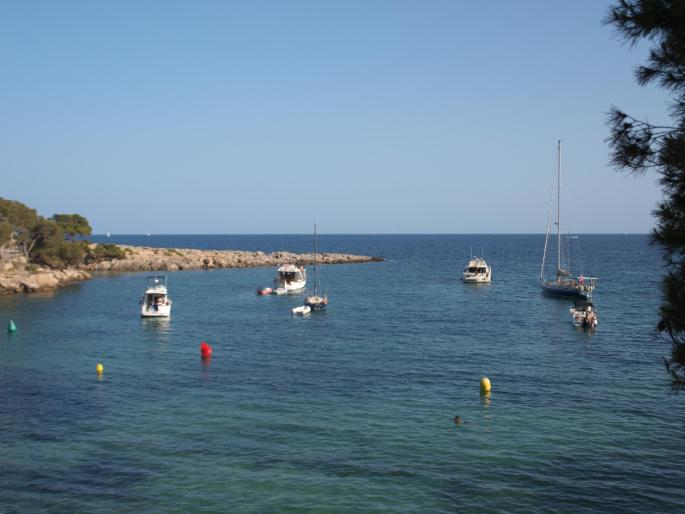Temperatura del Mar Balear