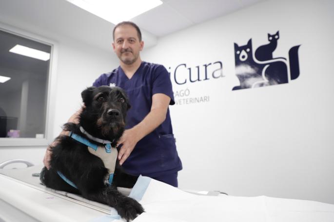 Guillem Riera, veterinario clínico.