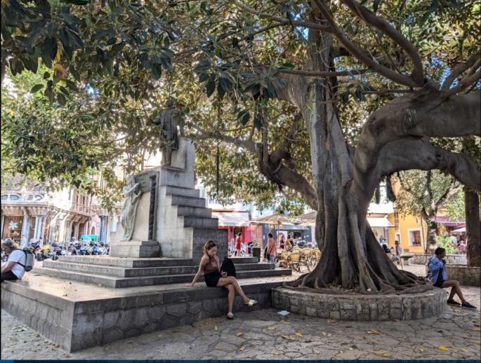 Monumento de Antoni Maura y ficus de la Plaça des Mercat