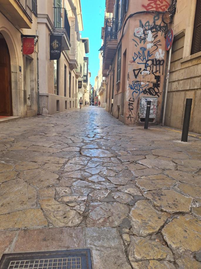 Indignación por el estado de la calle de Sant Jaume