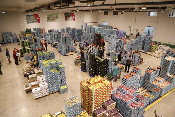 Los ahorros de Mercapalma: 9,5 millones en liza en la disputa con Mercasa