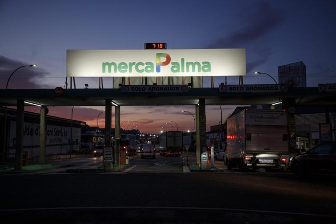 PALMA. EMPRESAS. Cort anuncia ayudas este mes en Mercapalma.