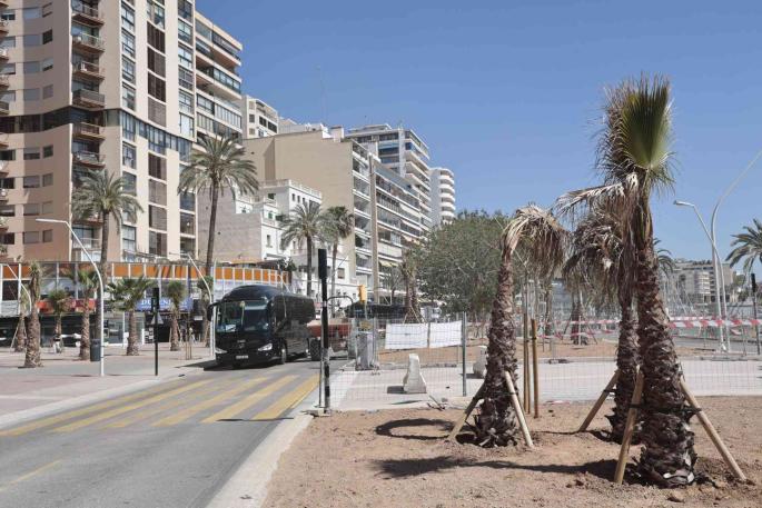 Obras en el Paseo Marítimo de Palma
