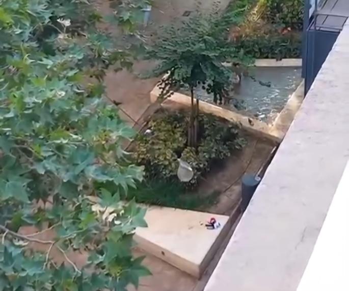 Imágenes de varios niños bañándose en la fuente de Nuredduna