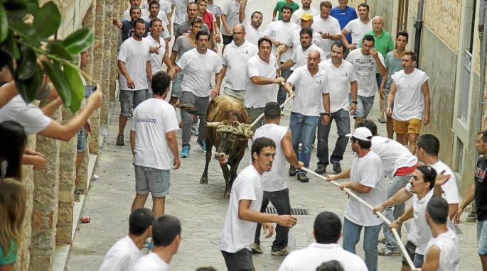Los animalistas pasan a la acción para parar el 'correbou' de Fornalutx.