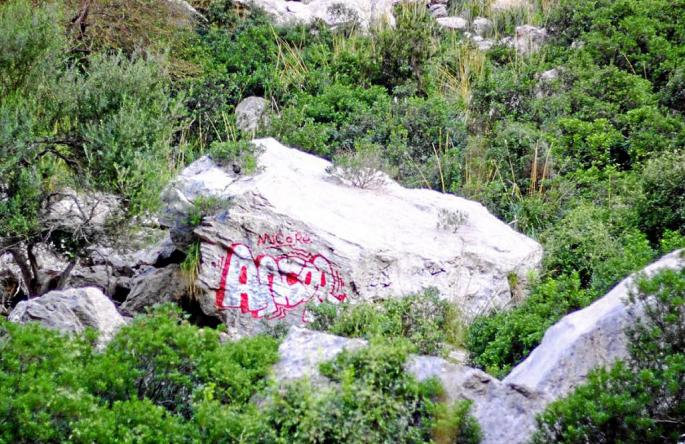 Pintada en la Serra de Tramuntana
