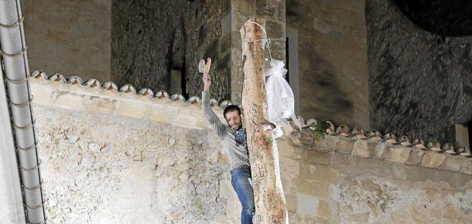 Sant Antoni en Pollença: La cesta vuelve a la corona del Pi