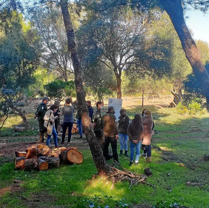La finca pública de es Canons acogerá una zona de acampada para 250 personas