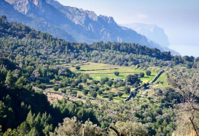 La futura Ley de la Serra de Tramuntana permitirá limitar el número de carreras.