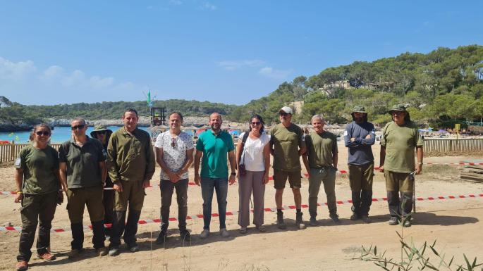 Empieza la restauración de la zona dunar de Mondragó