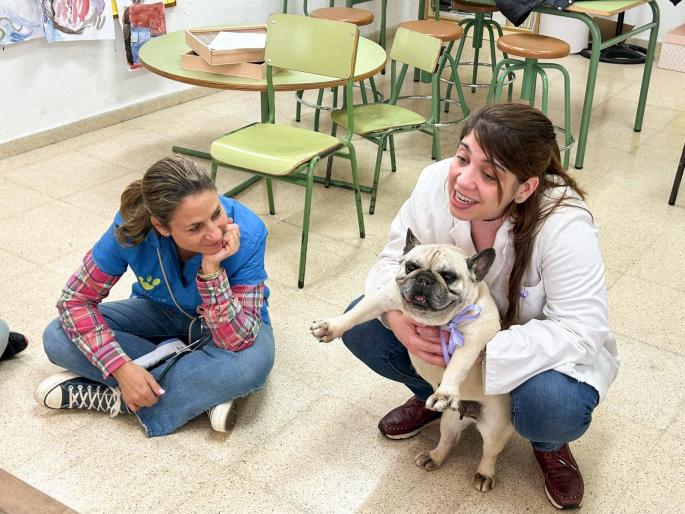 Charlas veterinarias en Felanitx