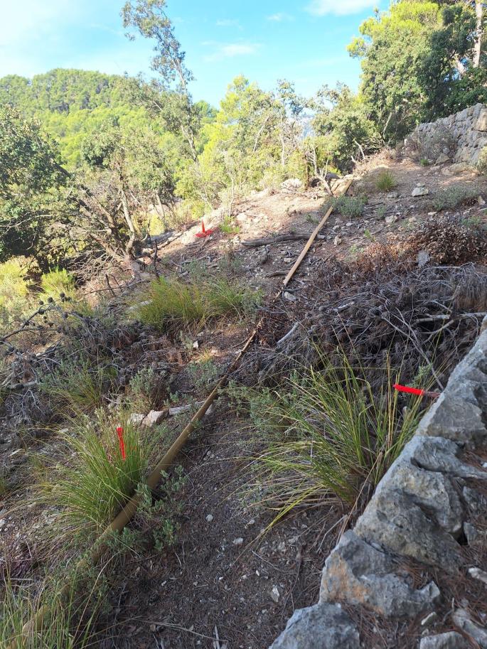 La familia Ordinas mantiene que el Castell d'Alaró es suyo y amenaza con cerrarlo
