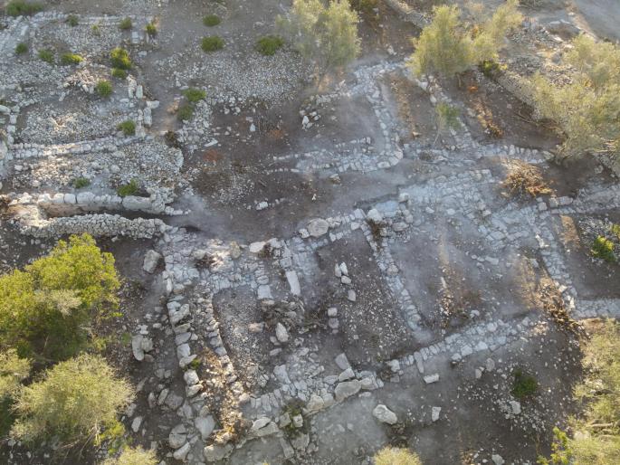 Vista de los nuevos edificios que llevaban siglos ocultos por la maleza.