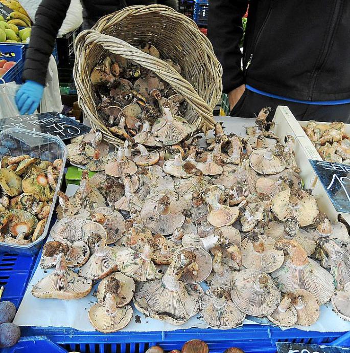 'Esclata-sangs' mallorquines en el mercado de Pere Garau