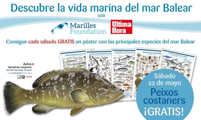 Peixos costaners