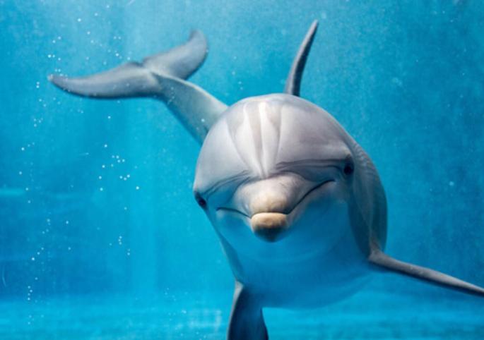marineland