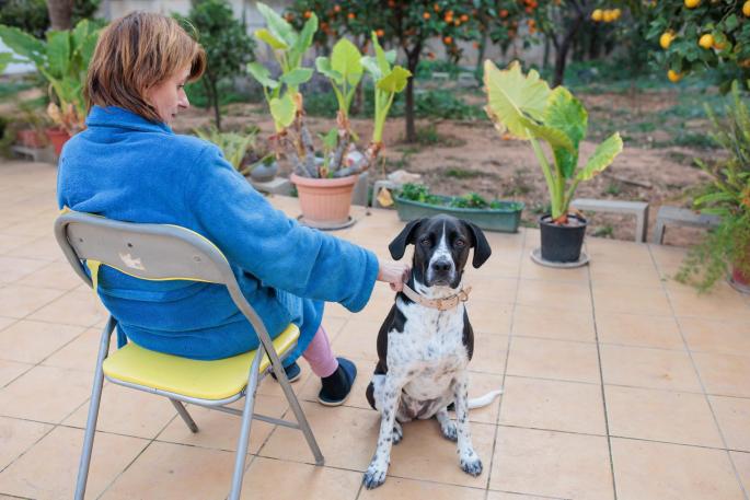 Roma busca nuevo hogar