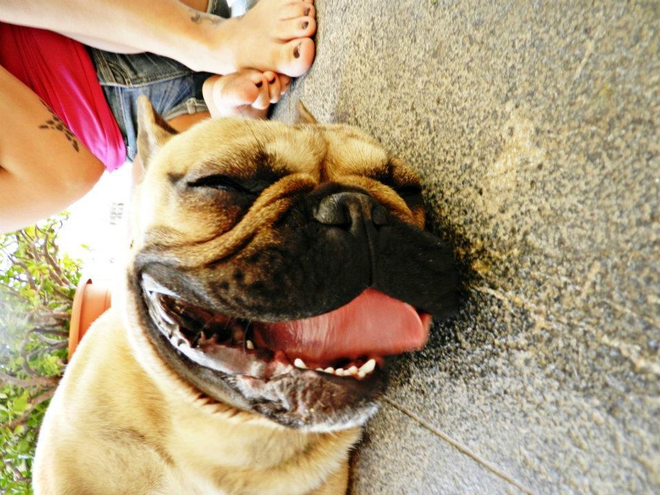 Gordo