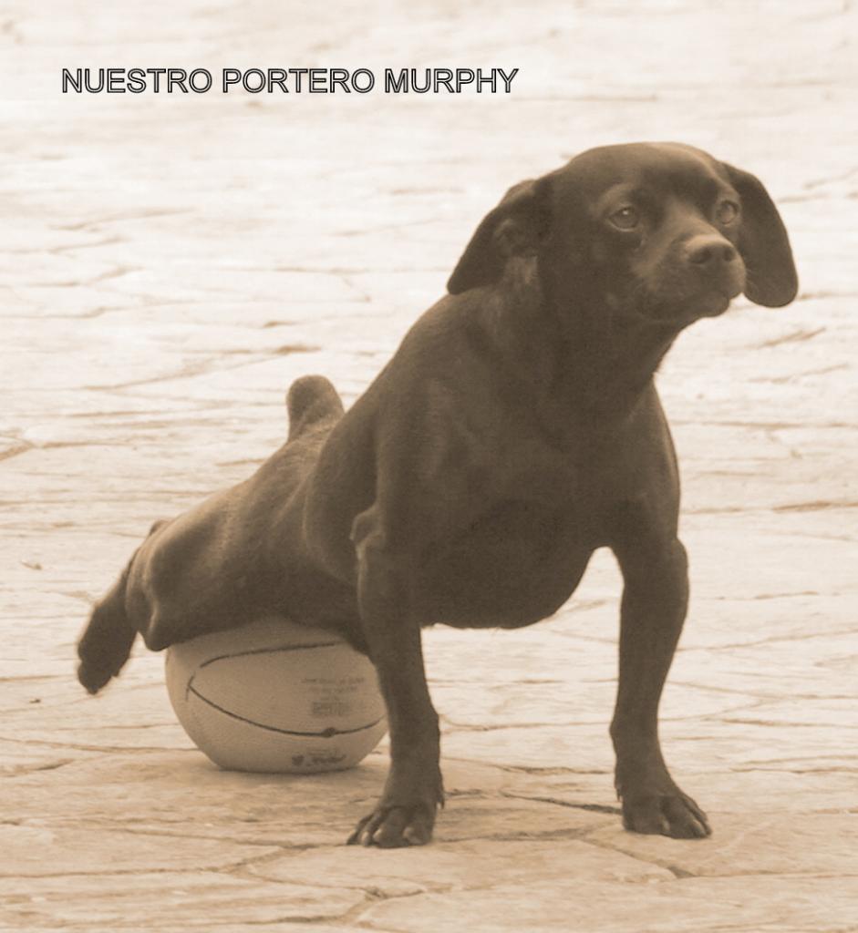 Murphy