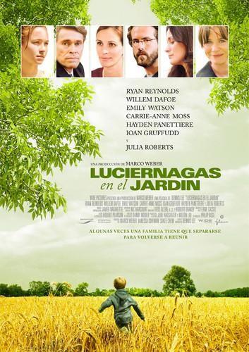 Ver detalle de la película