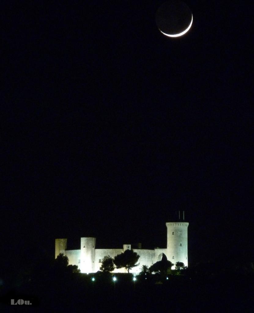 lunitaa sobre bellver.