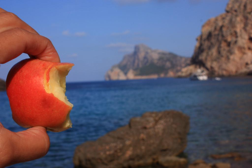 casi un paraiso