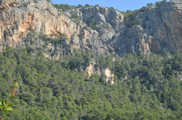 Montañas de Mallorca
