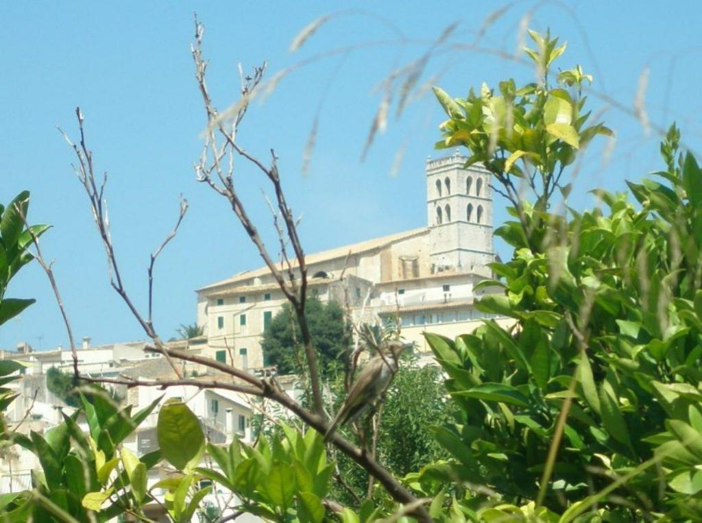 Belleza mallorquina