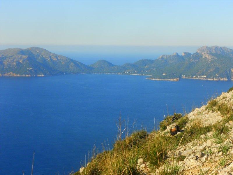 Boc Balear