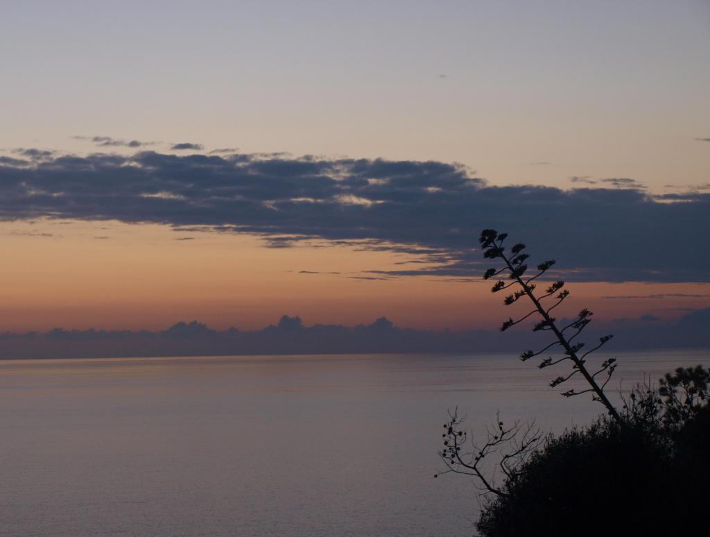 atardecer
